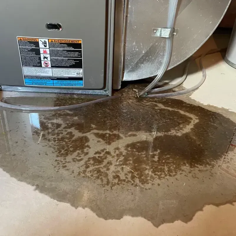 Appliance Leak Cleanup in Rice, MN